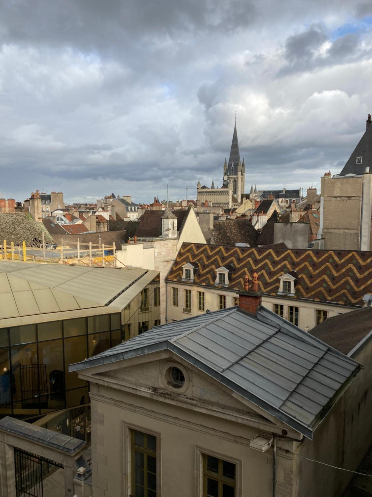 Lumineux, Coeur De Appartement Dijon